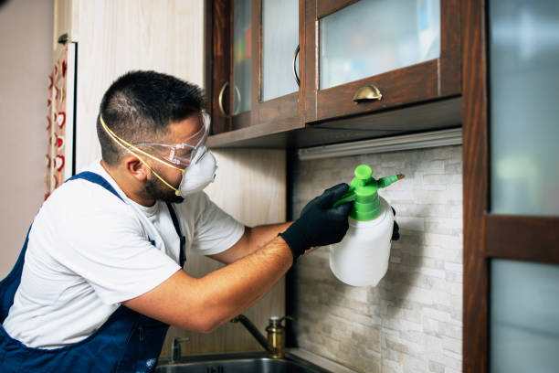 Best Flea Control Services  in Village Green Green Ridge, PA
